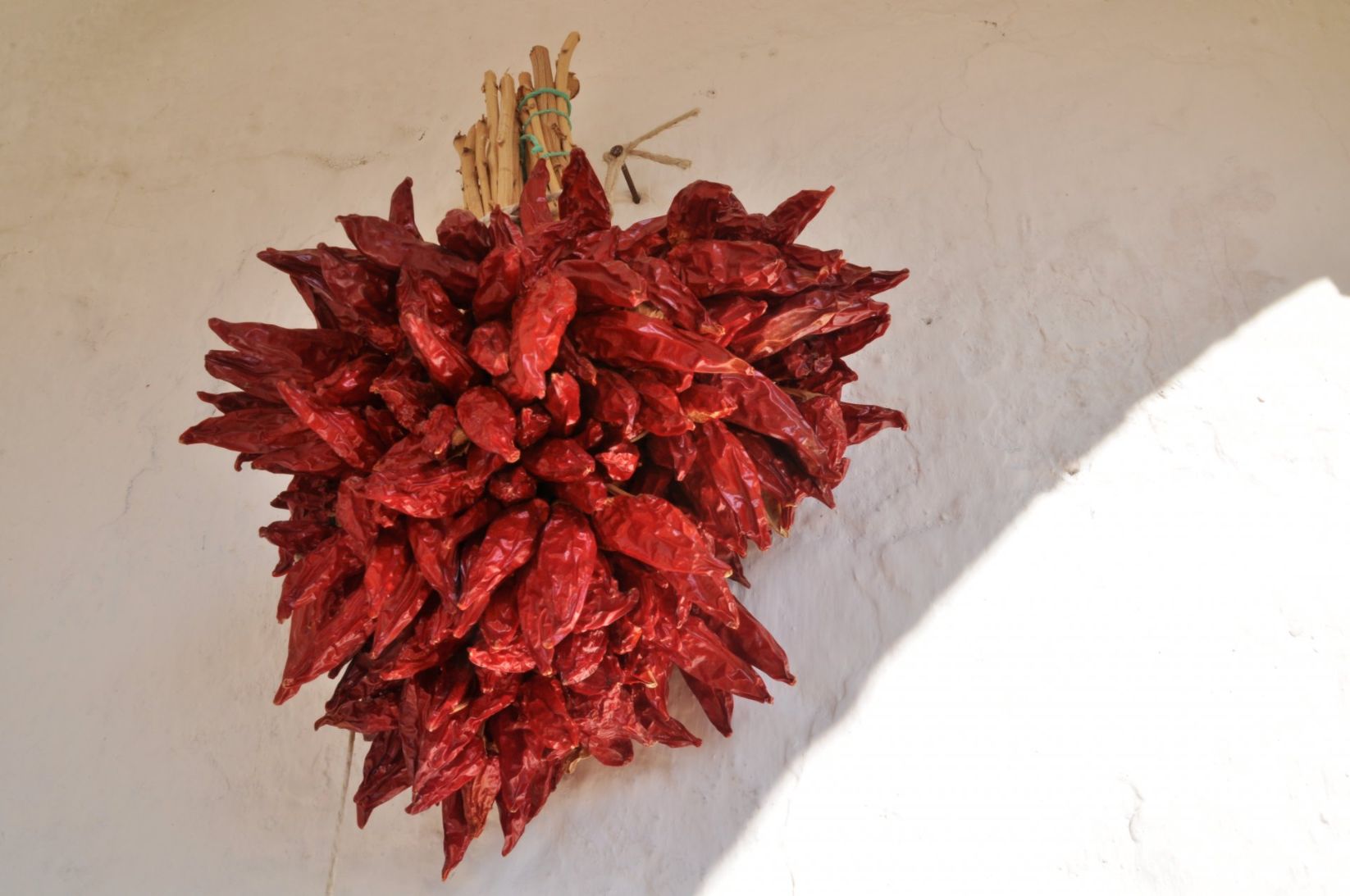 Masseria Uccio - 9